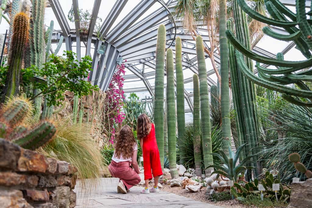 Botanischer Garten und Botanisches Museum Berlin